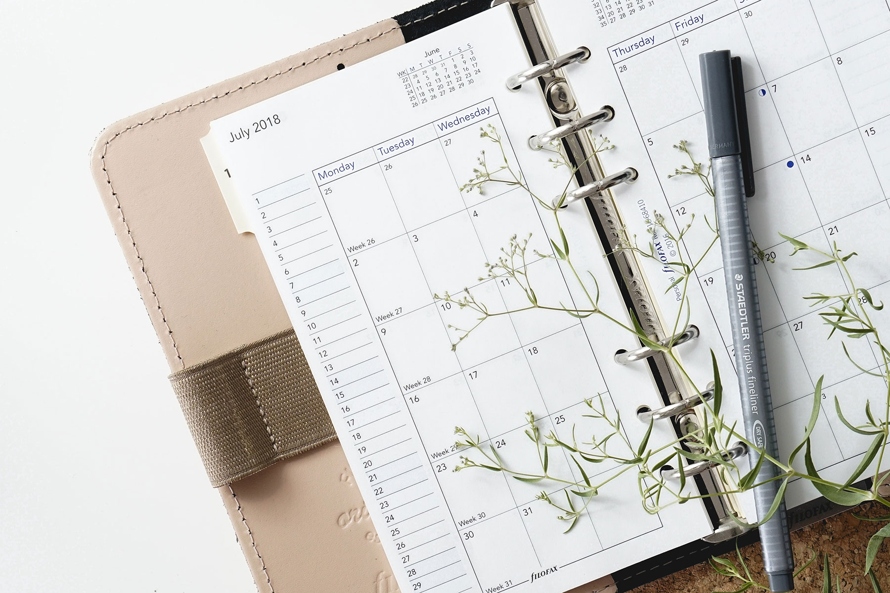 calendar