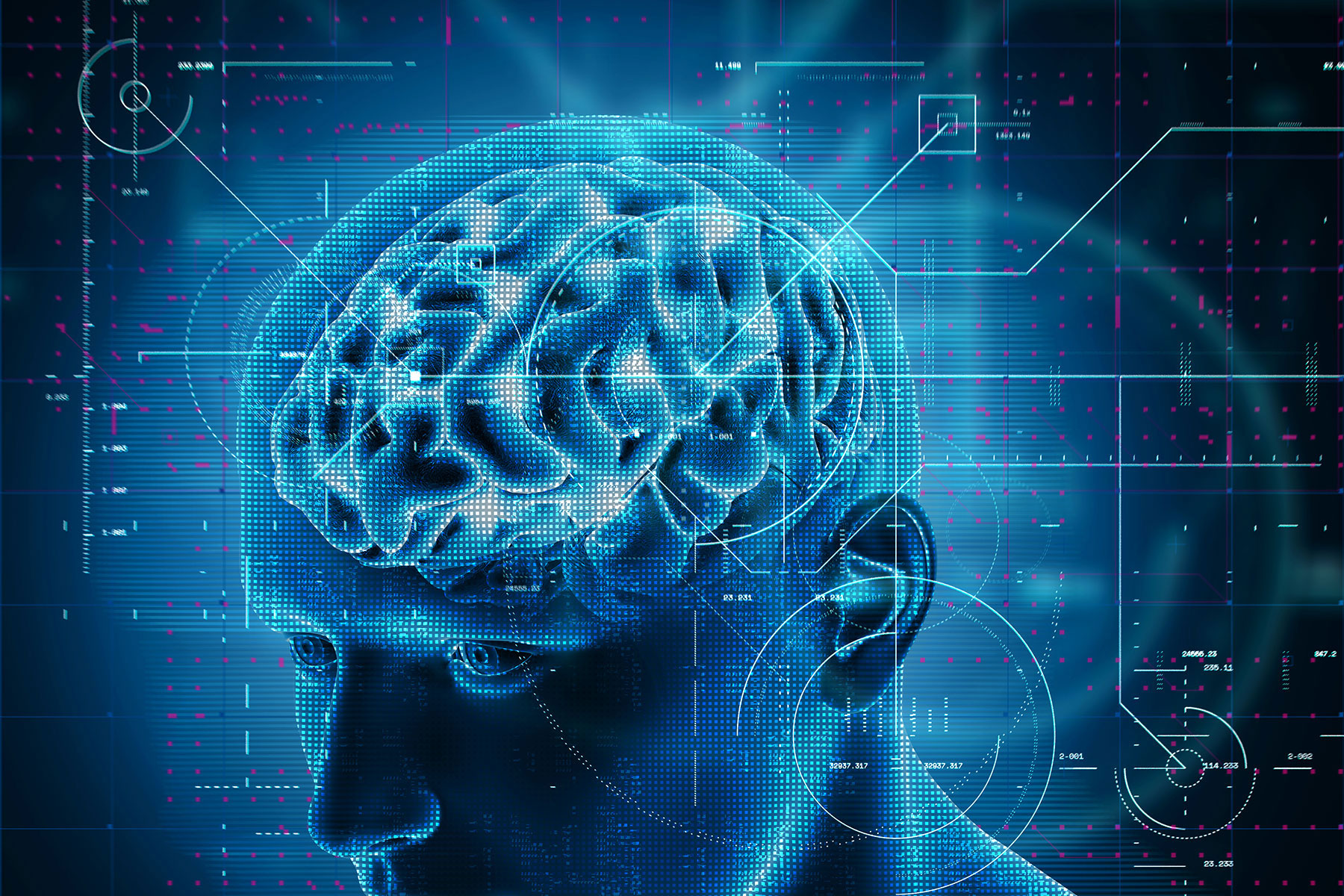 brain graphic