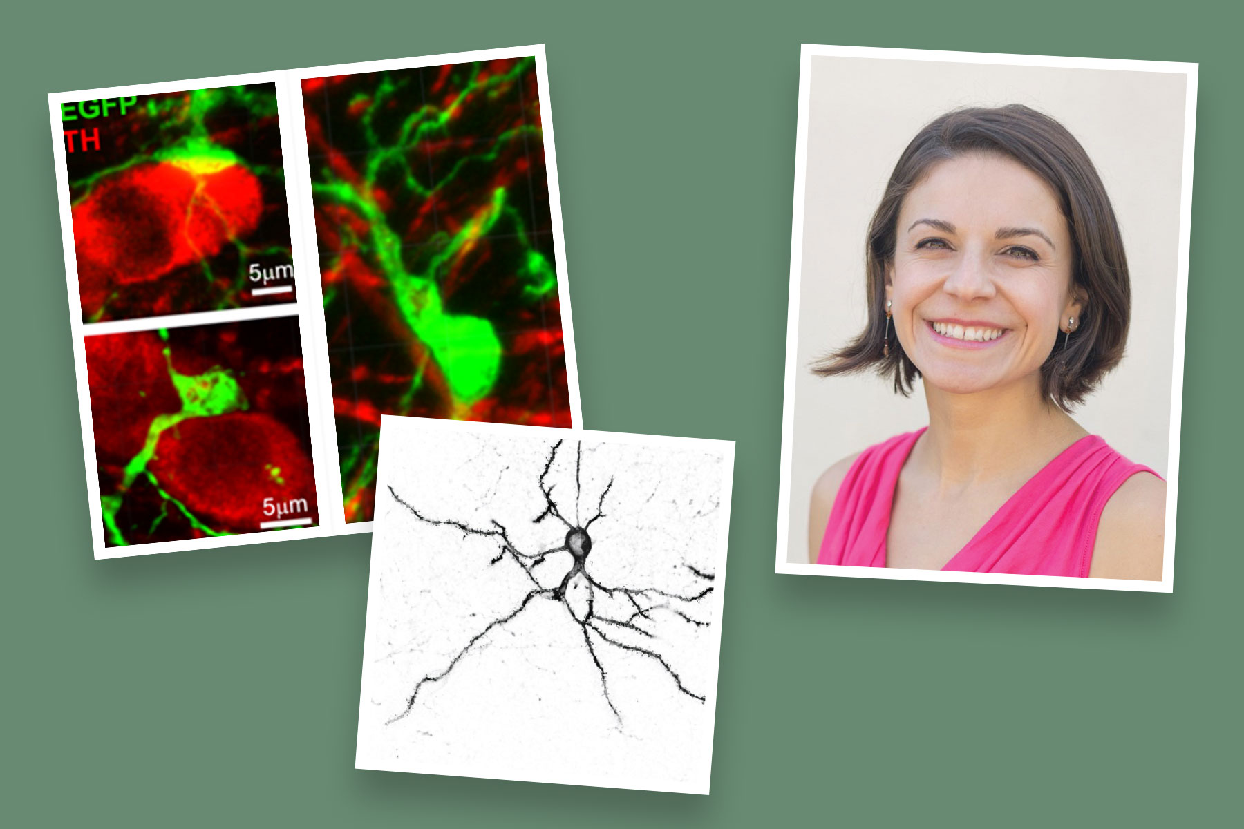 machinery of the mind