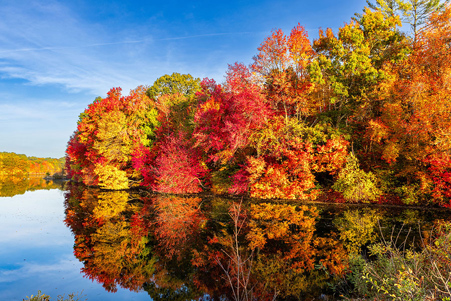 New England Fall Colors