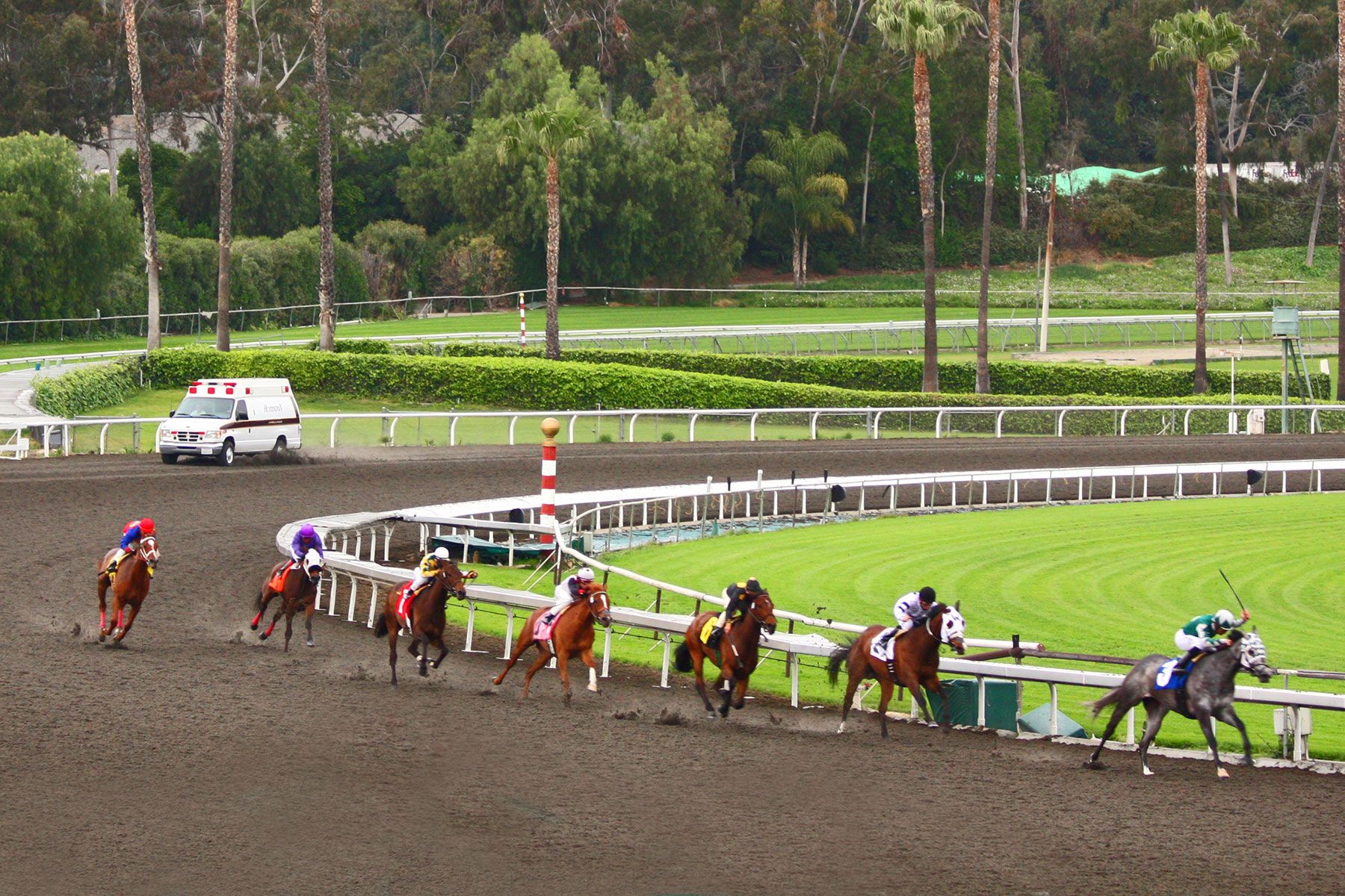 Santa Anita racetrack