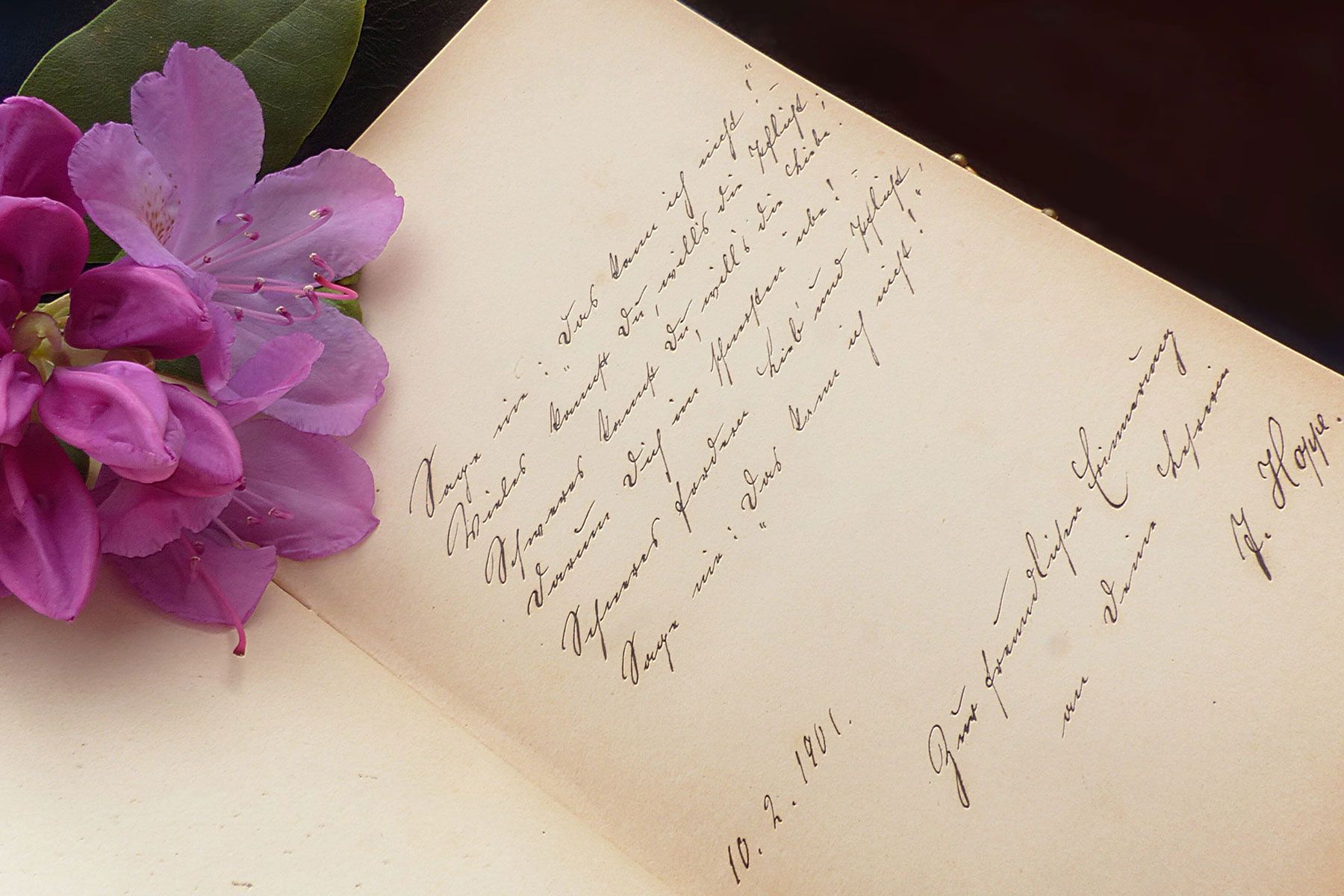 journal