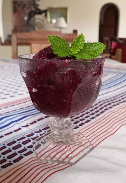 Blueberry Sorbet